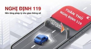 nghị định 119